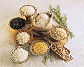 Various types of rice