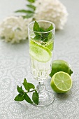 Hugo (a cocktail with elderflower syrup, champagne and limes)