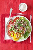 Tricolour tomato salad with beans, onions and coriander