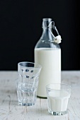 Milchflasche und Milchglas