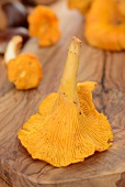 Fresh chanterelles on a wooden board