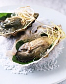 Oysters in jelly