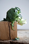 Broccoli on a piece of wood