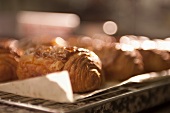 Freshly baked croissants on a baking tray