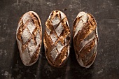 Three loaves of country bread