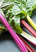 Four Bunches of Rainbow Swiss Chard Stems