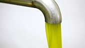 Kaltgepresstes Olivenöl fliesst aus der Zentrifuge, Umbrien, Italien