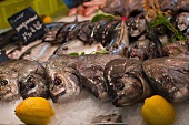 Bream at a fish market