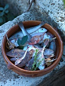 Various fresh fish in a clay bowl on a stone wall