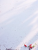 Chilli pepper on a white surface