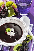 Elderberry soup