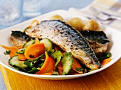 Mackerel on a carrot and cucumber salad