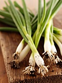 Fresh spring onions