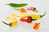 Red, yellow, orange and green chilli peppers