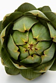 Artichoke