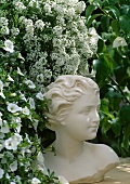 Bust of a woman and sweet alyssum (Lobularia maritima)