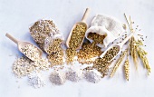 Various type of grain, flour and ears