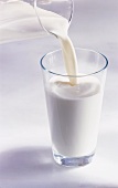 Milch aus Krug in ein Glas einschenken