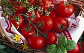 Tomatoes in a basket on a tea towel