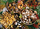 Various mushrooms in baskets