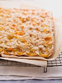 Apricot cake with slivered almonds
