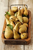 Organic pears on a wooden tray