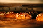 Loaves of rye-wheat bread in bakers oven