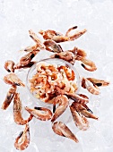North Sea shrimps, peeled and whole on ice