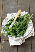 Fresh parsley on a plate