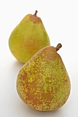 Two Comice pears