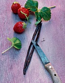 Strawberries and Tahiti vanilla