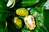 Noni from Thailand