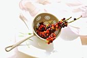 Thai fruits of the forest in a sieve