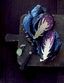 Half a red cabbage on a chopping board