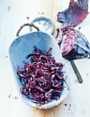 Rotkohl, teilweise geschnitten