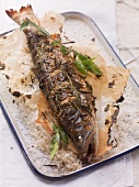 Oven-roasted char on a piece of baking paper