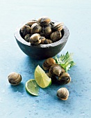 Cockles and limes