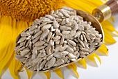 Sunflower seed on a brass scoop