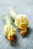 Courgette flowers