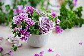 Gesteck aus Pelargonien und lila Rosen