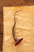 A beetroot root on a yellow cloth