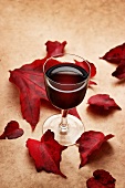 A glass of red wine and autumnal leaves