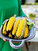 Barbecued sweetcorn cobs