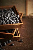 Fresh Blueberries in Wooden Boxes