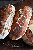Drei Artisan Brote