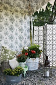 Floral pattern on inner tent wall and various potted plants on gravel floor