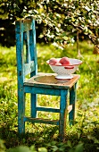 Colander of Peaches on an Old Wooden Chair; Outside