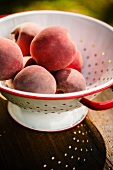 Fresh Peaches in a Colander on a Sunny Table