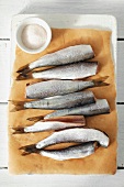 Fresh herrings on parchment paper and dish of salt
