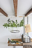 Home-made chandelier made from a bicycle tyre and glass tubes filled with fresh garden herbs and twigs